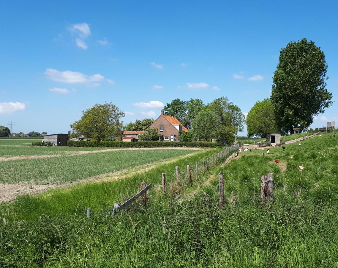 “In Oans Oefje” Parel in de polder! Appartement Lewedorp Buitenkant foto