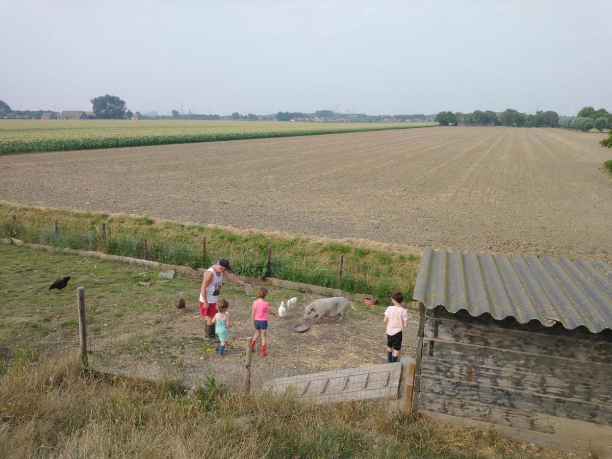 “In Oans Oefje” Parel in de polder! Appartement Lewedorp Buitenkant foto