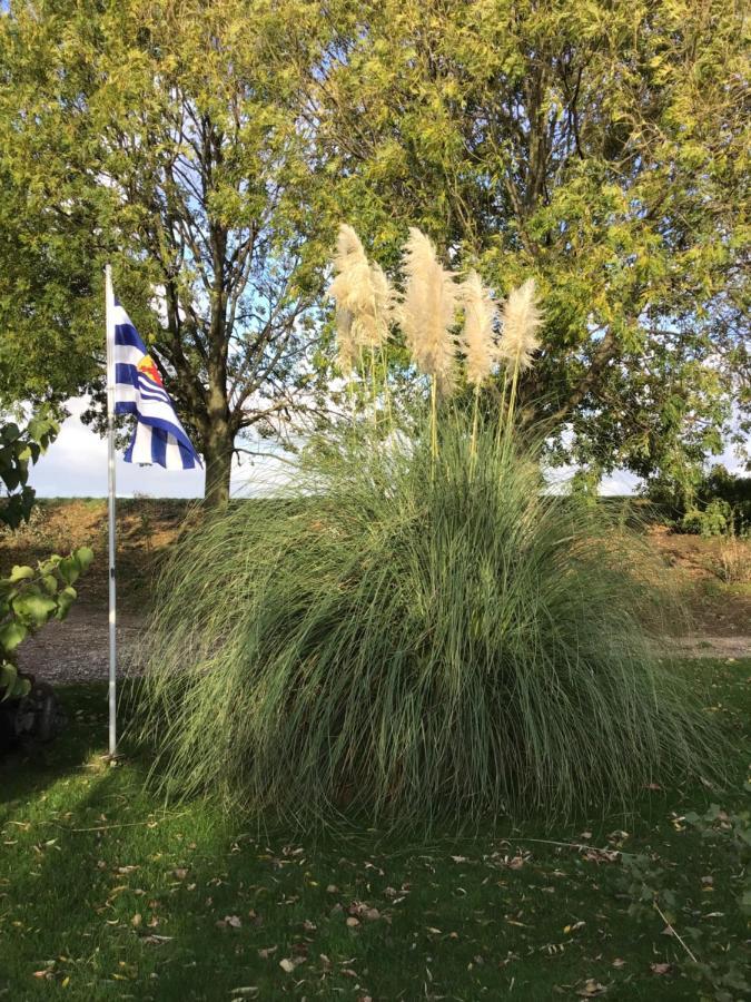 “In Oans Oefje” Parel in de polder! Appartement Lewedorp Buitenkant foto