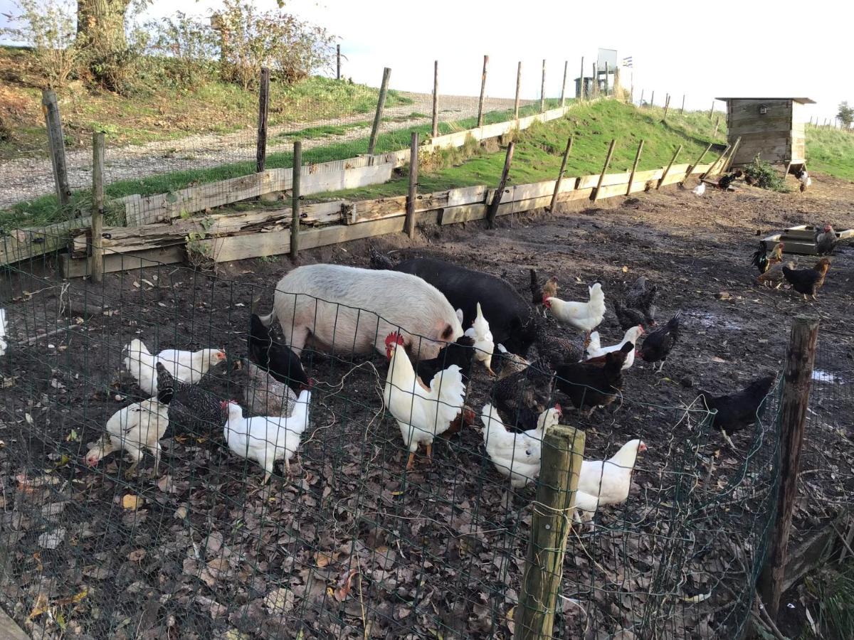 “In Oans Oefje” Parel in de polder! Appartement Lewedorp Buitenkant foto