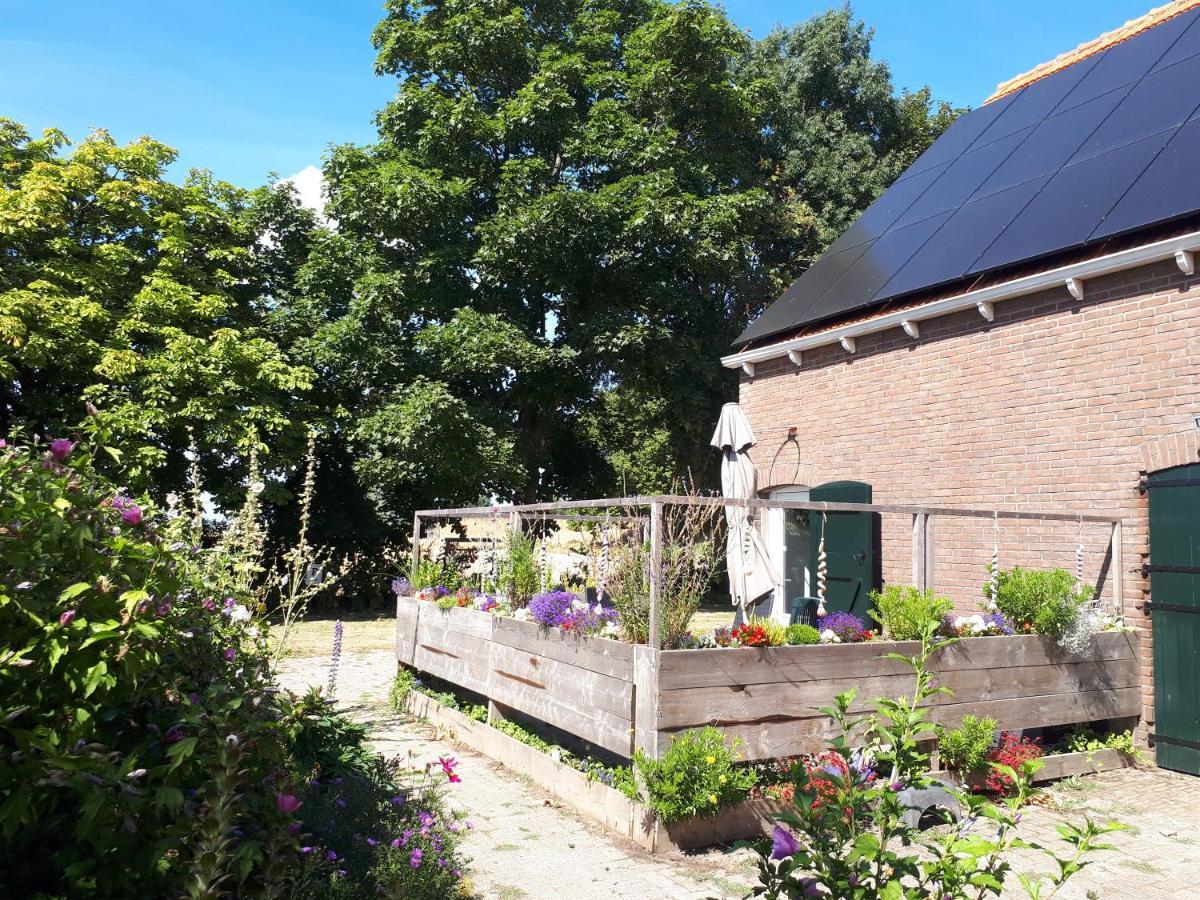 “In Oans Oefje” Parel in de polder! Appartement Lewedorp Buitenkant foto